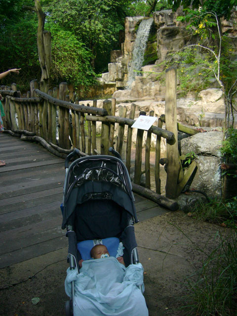 Me in front of the waterfall